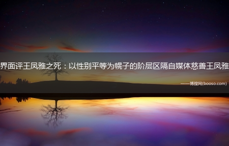 界面评王凤雅之死：以性别平等为幌子的阶层区隔自媒体慈善王凤雅(王凤雅)