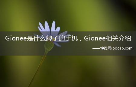 Gionee相关介绍?Gionee是什么牌子的手机(gionee)