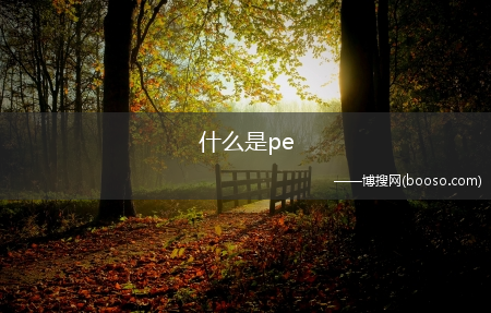 什么是pe?(pe)