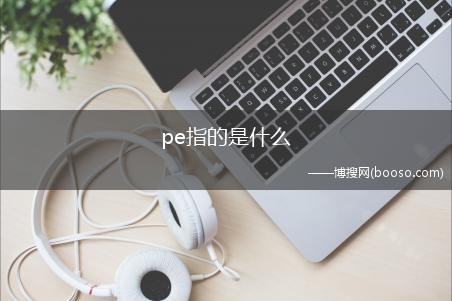 pe指的是什么?(pe是什么)