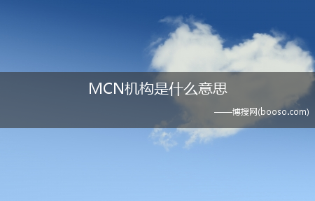 主要是做什么的?MCN机构是什么意思(mcn机构是什么意思)