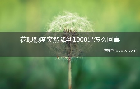 可能是这些原因?花呗额度突然降到1000是怎么回事?(花呗额度突然降到1000咋回事)