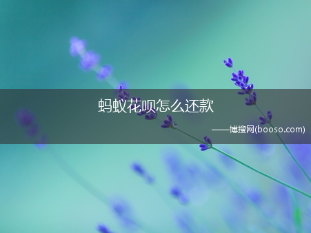 蚂蚁花呗怎么还款?(花呗怎么还)