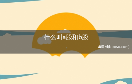 什么叫a股和b股?(什么叫a股什么叫b股)