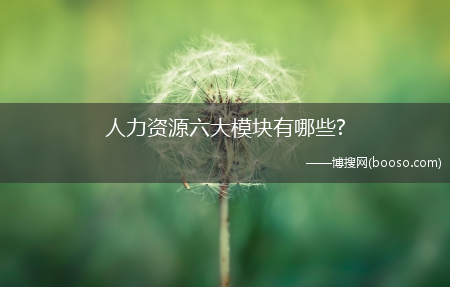 人力资源六大模块有哪些?(人力资源有哪些模块)