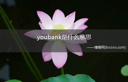 youbank是什么意思?(youbank)