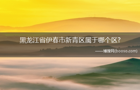 黑龙江省伊春市新青区属于哪个区?(伊春市新青区)