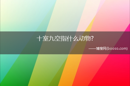 十室九空指什么动物?十室九空打一生肖