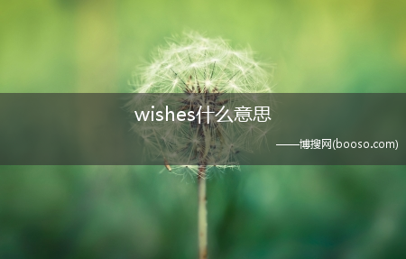 wishes什么意思?-wishes