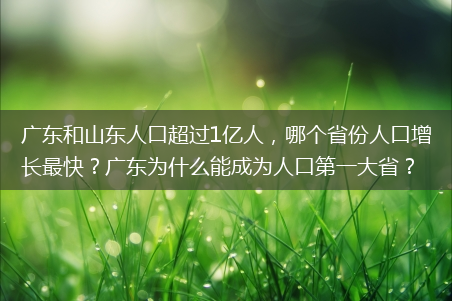 哪个省份人口增长最快?广东为什么能成为人口第一大省?广东和山东人口超过1亿人-广东山东人口超1亿