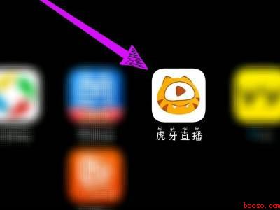 虎牙直播怎么投屏（演示机型:Iphone 12）