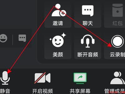 腾讯会议怎么有声录屏（演示机型:Iphone 13）