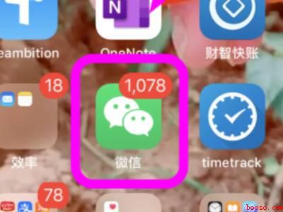 拍拍设置（演示机型:Iphone 12）