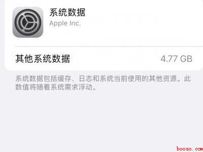 苹果的系统数据怎么清理