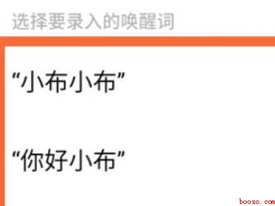 oppo手机唤醒叫什么名字