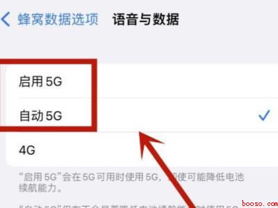 苹果5g设置在哪里