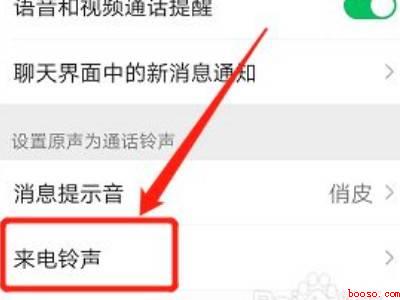微信语音通话铃声怎么设置自定义铃声（演示机型:Iphone 13）