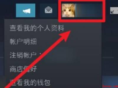 steam不让好友看到库（华为MateBook X中解决steam不让好友看到库的具体）