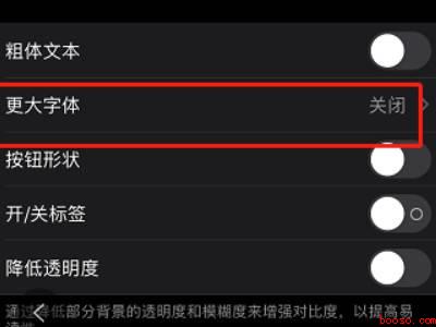 苹果手机全部字体变大
