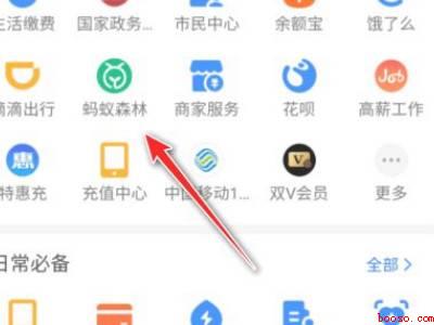 蚂蚁森林偷能量有表情怎么设置（演示机型:Iphone 12）