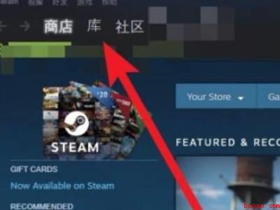 steam游戏启动不了（华为MateBook X下解决steam游戏启动不了的具体操）