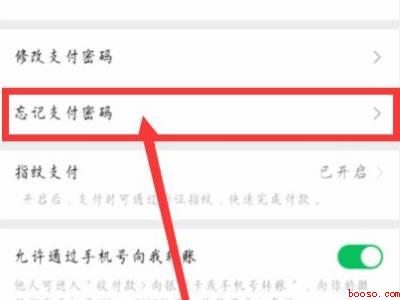 忘记支付密码怎么找回原来的密码（演示机型:Iphone 13）