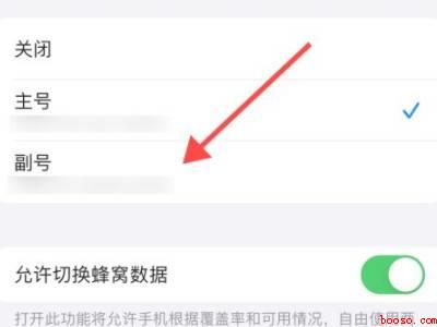 苹果12双卡怎么切换流量