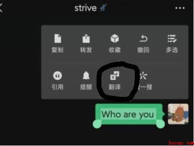 微信自动翻译功能（演示机型:Iphone 12）