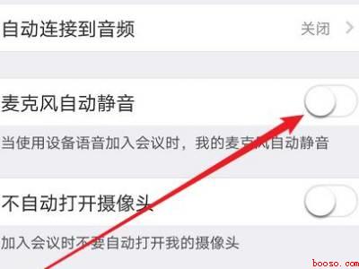 zoom怎么关闭麦克风（演示机型:Iphone 12）
