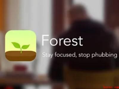 forest怎么加好友（演示机型:Iphone 13）