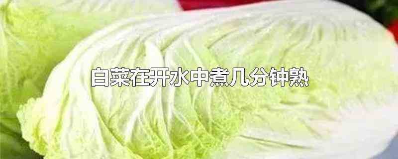 白菜在开水中煮几分钟熟