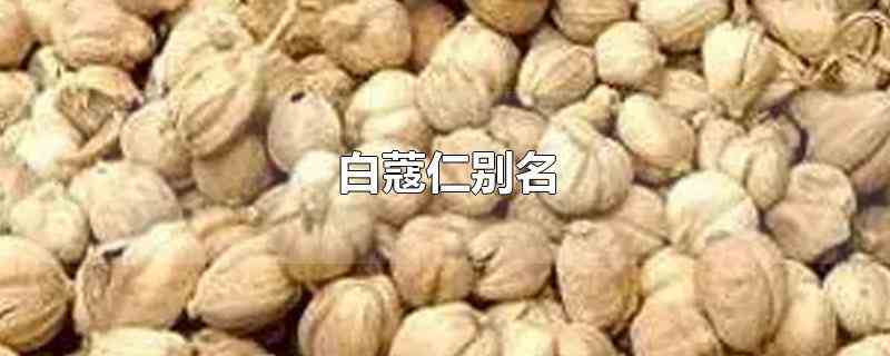 白蔻仁别名(白蔻仁别名又叫什么)