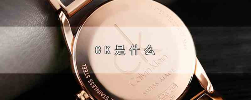 CK是什么(CK是由卡尔文)