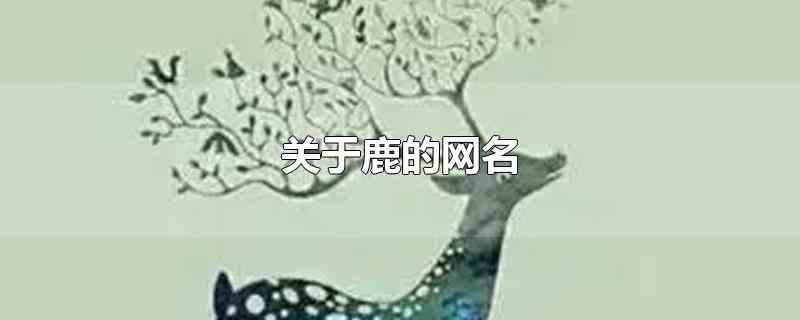 关于鹿的网名(关于鹿的网名女生)