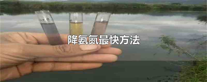 降氨氮最快方法