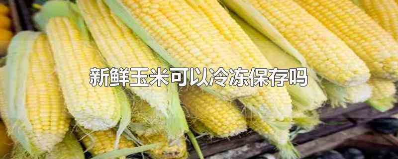 新鲜玉米可以冷冻保存吗