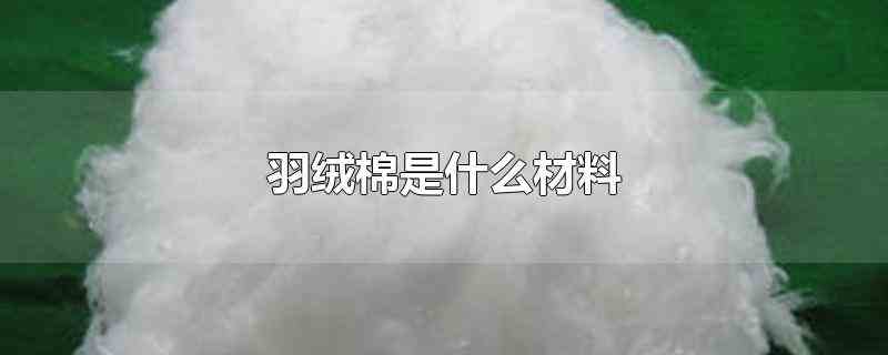 羽绒棉是什么材料(羽绒棉、棉花、羽绒的区别)