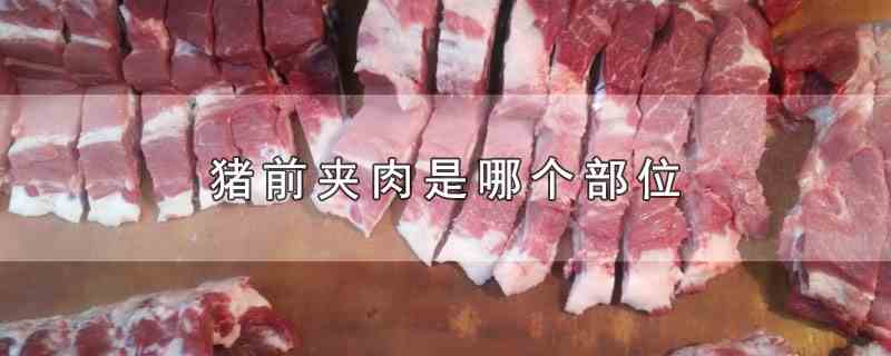 猪前夹肉是哪个部位(猪前夹肉是什么部位)