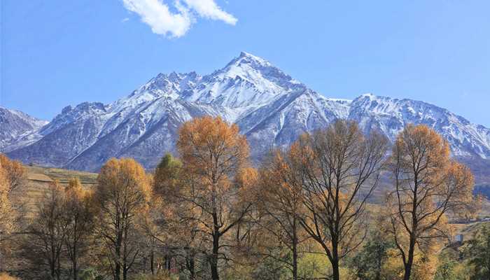 乔戈里峰属于中国吗(乔戈里峰是国际登山界公认的八千米以上攀登难度最大的山峰)