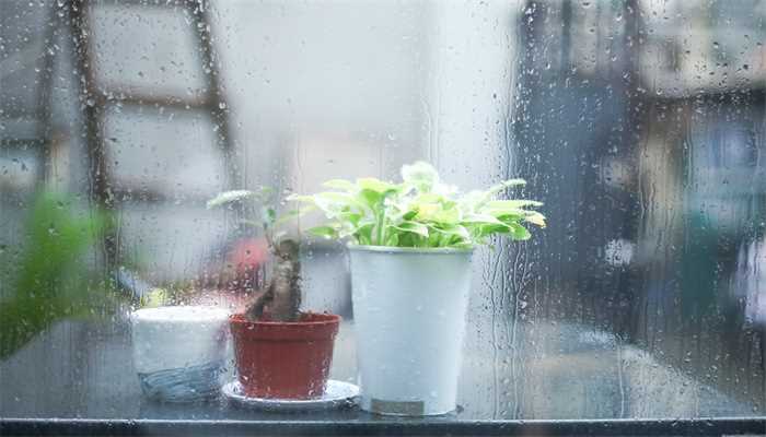 酸雨的形成原因(酸雨主要是人为的向大气中排放大量酸性物质所造成的)