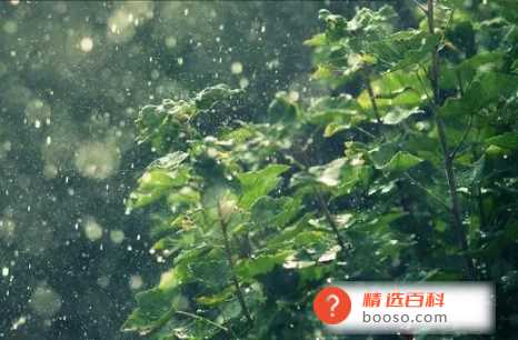 2022年南京11月会下雨吗