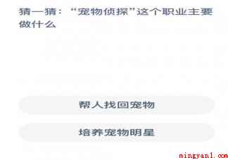宠物侦探这个职业主要是做什么的 蚂蚁新村12月3日答案