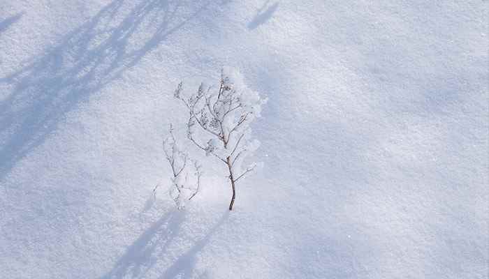 雪是怎么形成的