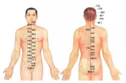 督脉的准确位置图,督脉的作用和功能(督脉的准确位置图)