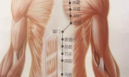 腹通谷的准确位置图,怎样按摩腹通谷(腹通谷的准确位置图精确定位)