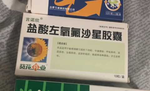 尿路感染吃诺氟还是左氧好些