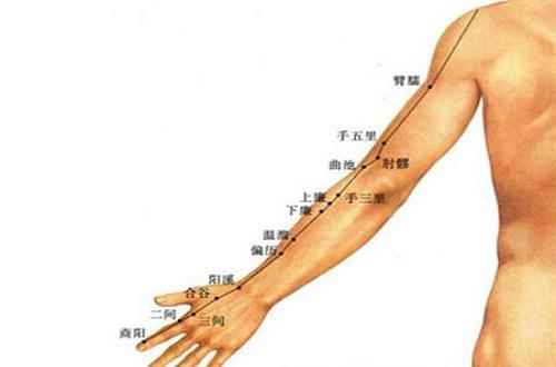 大肠经正确的按摩方法(按摩养护大肠经的正确方法)