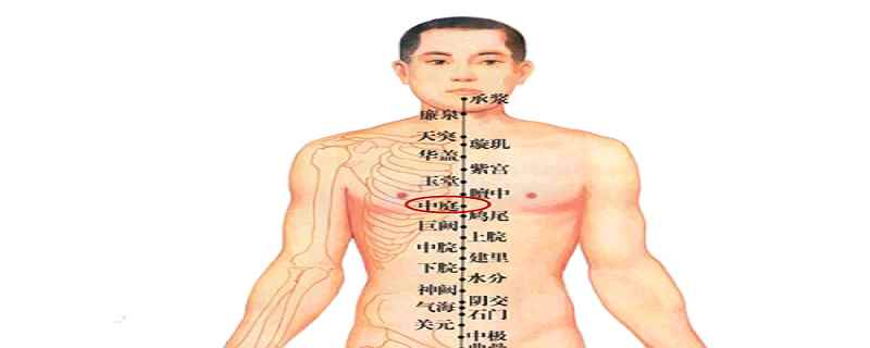 中庭是哪个位置,中庭的作用(中庭是哪个位置科学定位)