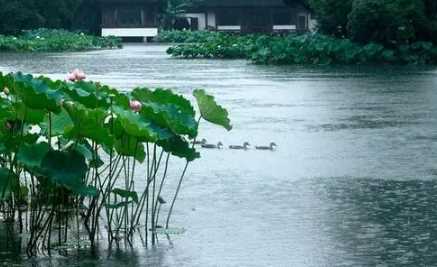 2023年梅雨季节是夏季吗(2023梅雨季节是夏季吗)