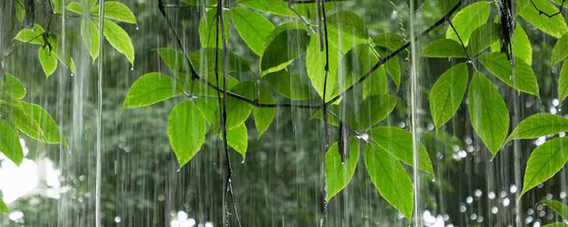 雨水节气的风俗